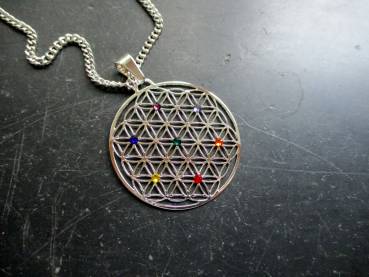 Preview: Anhänger, Edelstahl, versilbert, Blume des Lebens, heilige Geometrie, Blume, Chakra, groß