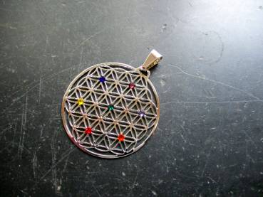 Preview: Anhänger, Edelstahl, versilbert, Blume des Lebens, heilige Geometrie, Blume, Chakra, groß