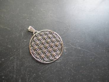 Preview: Anhänger, Edelstahl, versilbert, Blume des Lebens, heilige Geometrie, Blume, Chakra, groß