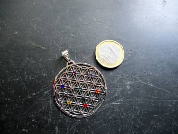 Anhänger, Edelstahl, versilbert, Blume des Lebens, heilige Geometrie, Blume, Chakra, groß