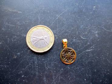 Preview: Anhänger, Sterlingsilber, vergoldet, Saat des Lebens, heilige Geometrie, Blume