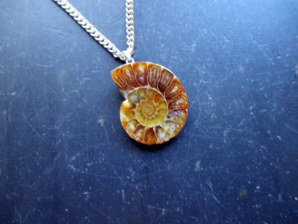 Anhänger, Sterlingsilber, Ammonit, braun, Schmuck, Frauen, Mädchen