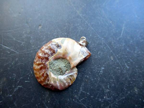Anhänger, Sterlingsilber, Ammonit, braun, Schmuck, Frauen, Mädchen