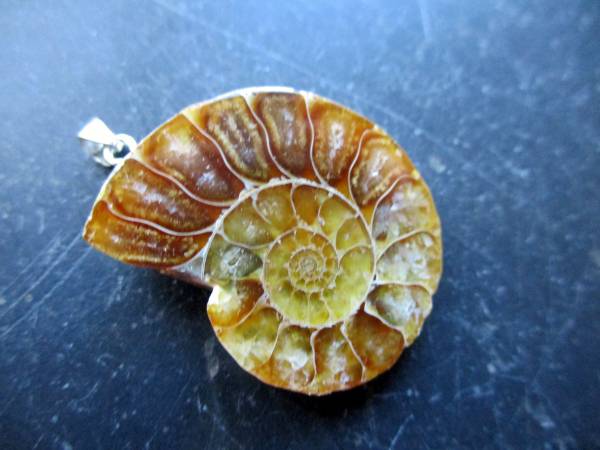 Anhänger, Sterlingsilber, Ammonit, braun, Schmuck, Frauen, Mädchen