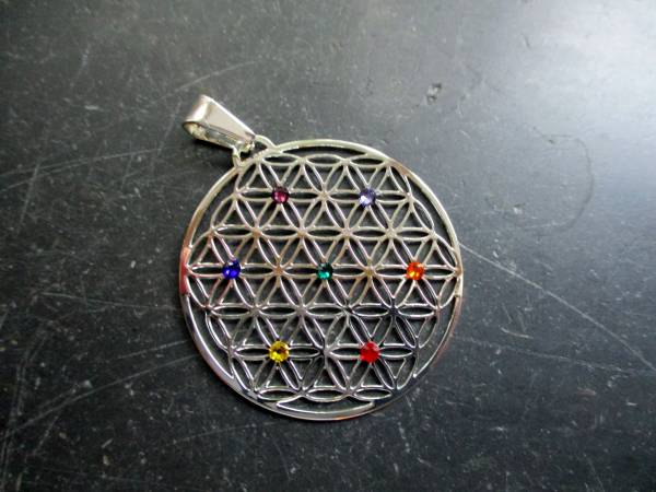 Anhänger, Edelstahl, versilbert, Blume des Lebens, heilige Geometrie, Blume, Chakra, groß