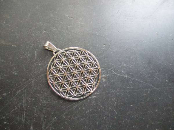 Anhänger, Edelstahl, versilbert, Blume des Lebens, heilige Geometrie, Blume, Chakra, groß