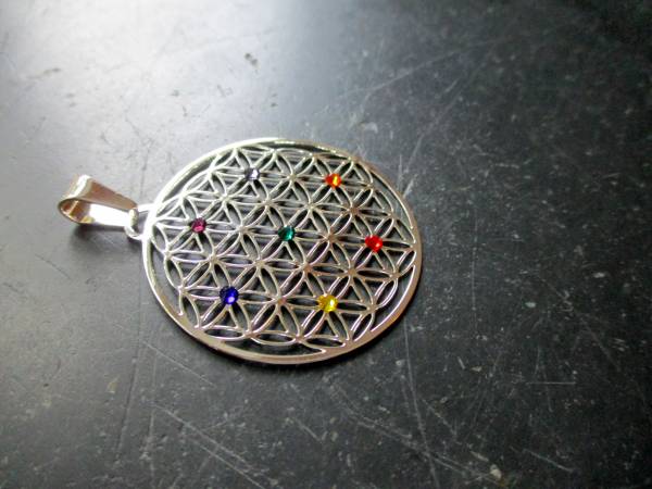 Anhänger, Edelstahl, versilbert, Blume des Lebens, heilige Geometrie, Blume, Chakra, groß
