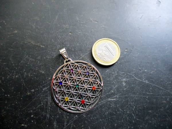 Anhänger, Edelstahl, versilbert, Blume des Lebens, heilige Geometrie, Blume, Chakra, groß
