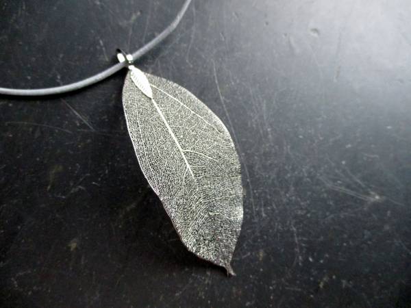 Kette, Anhänger, Blatt, echt, Lederband, Blatt, versilbert, Schmuck, Bodhi Baum