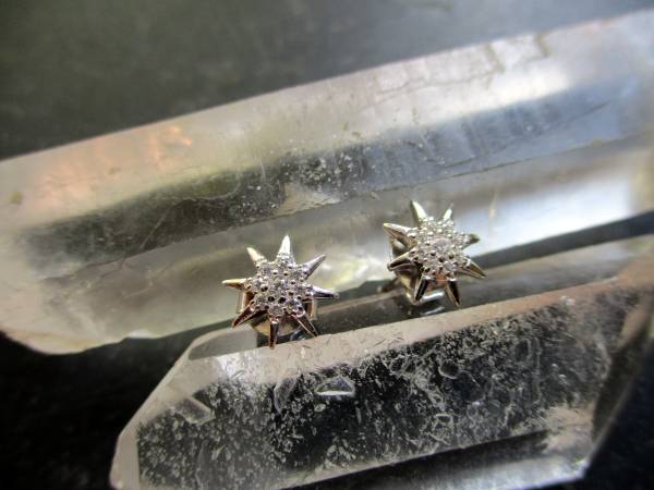 Ohrring, Ohrstecker, Sterlingsilber, Edelweiß, Blume, Schmuck, Frauen