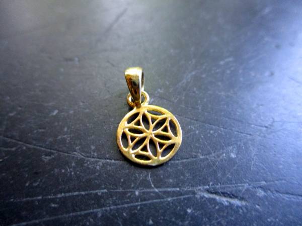 Blume des Lebens, Saat des Lebens, Anhänger, Silber, vergoldet, Symbol, Schmuck, klein
