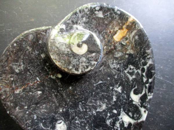 Schale, Seifenschale, Orthoceras, schwarz, weiß, Herz, Herzform, Deko, Geschenk