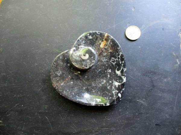 Schale, Seifenschale, Orthoceras, schwarz, weiß, Herz, Herzform, Deko, Geschenk